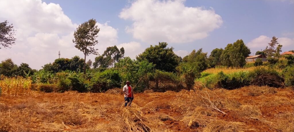 CESSO farming project to provide food security to the beneficiaries in the emergency shelter