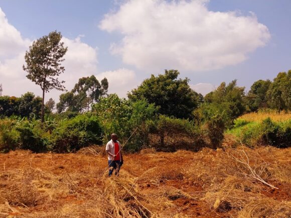 CESSO farming project to provide food security to the beneficiaries in the emergency shelter